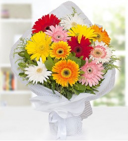 Renkli Gerbera Buketleri