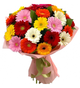 Renkli Gerbela