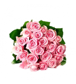 Pembe Gül Buketi 21 Adet