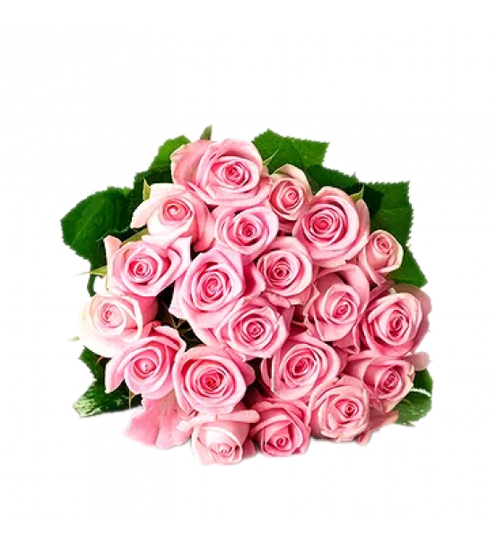 Pembe Gül Buketi 21 Adet