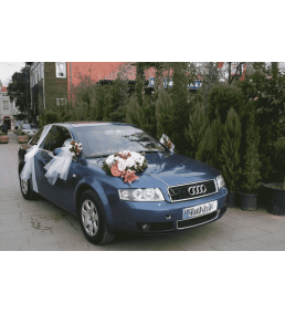 Araba-1