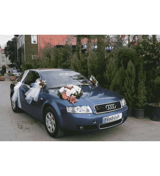 Araba-1